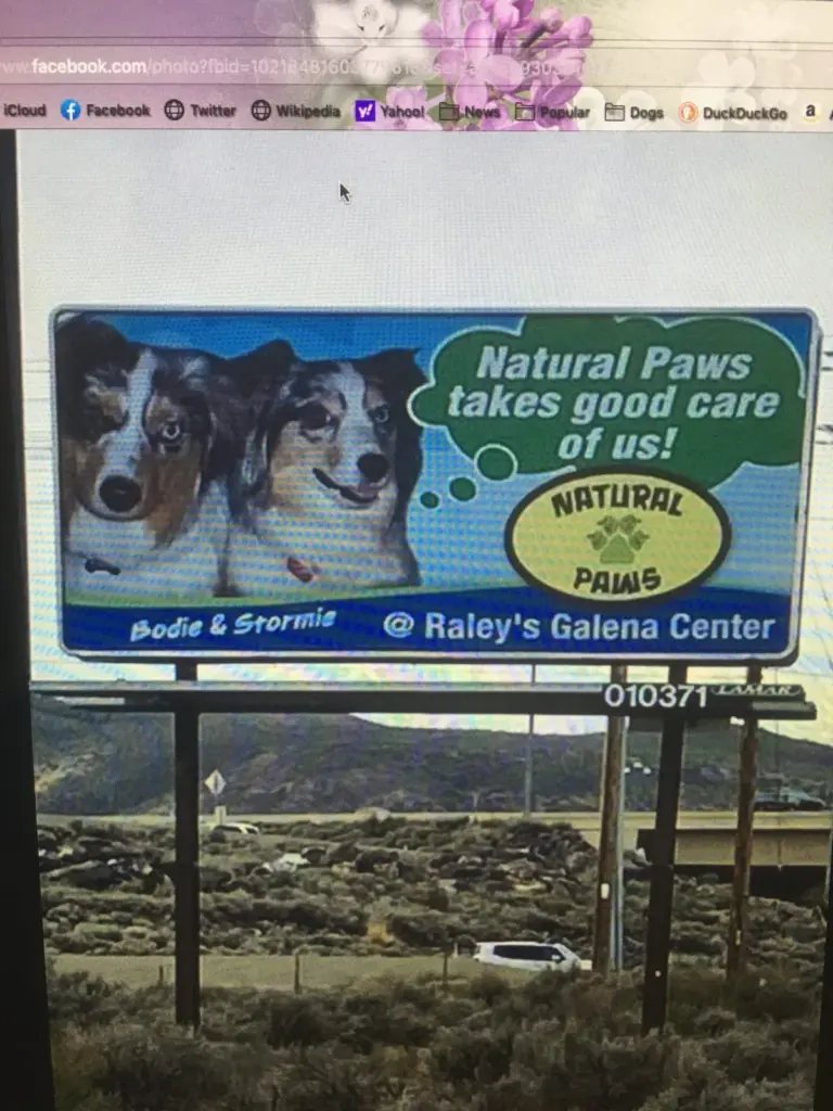 A Natural Paws billboard at Raley’s Galena Center showing two Gottabe dogs, Bodie and Stormie