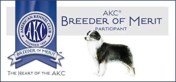 AKC Breeder of Merit participant banner