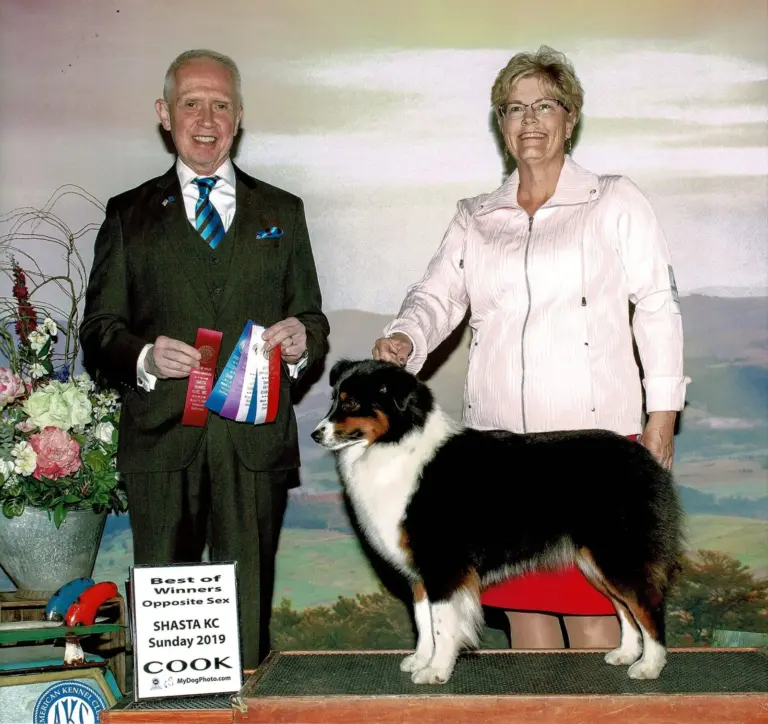 Ivy, a black tri, with the judge and her handler after a win at Shasta Kennel Club, 2019